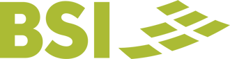 BSI logo_green_1205x313