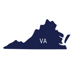 virginia icon