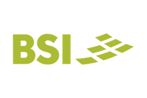 bsi logo 300x200 lindox 