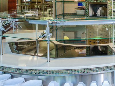 bsi z guard food shields 